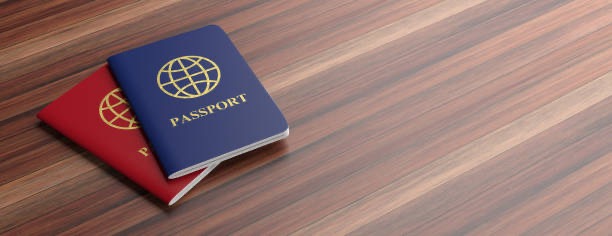 How to Get Dual Citizenship and Which Countries Allow It (2025 Guide)