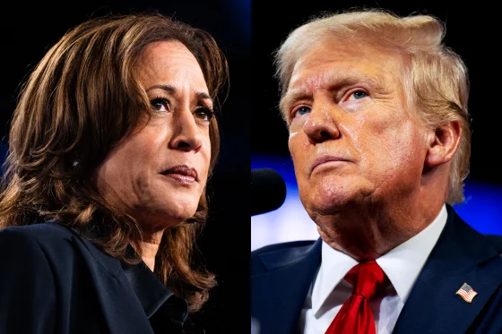 Kamala Harris Celebrity Endorsement Investigation: Trump Demands Probe