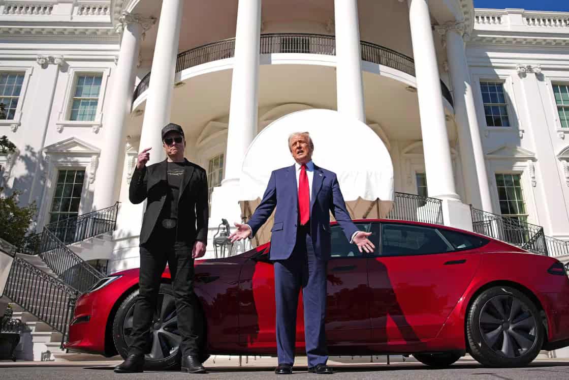 Elon Musk trump